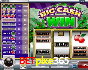 A Experiência Imersiva dos Cassinos Ao Vivo no betpixe365